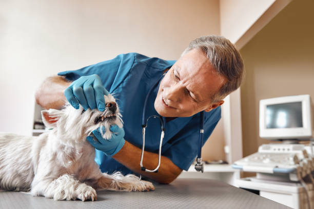 Best Emergency Treatment for Toothache in Slaton, TX